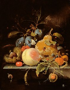 Nature morte de fruits et noix sur un rebord de pierre